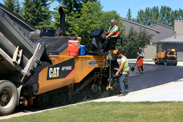 Best Driveway Paving Contractor  in Clisle, AR